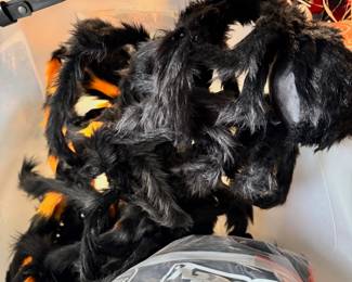 Halloween/Fall Decor