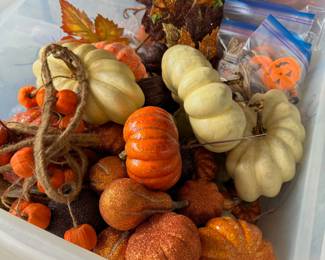 Halloween/Fall Decor