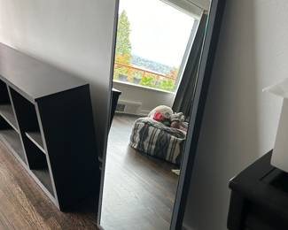 closer view of the Soho mirror