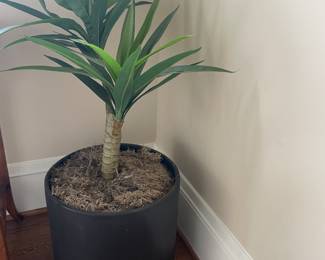 $80 Faux potted plant the pot measures 15 inch diameter by 15 inches high. The top of the plant is 40 inches high. Available for online purchase.