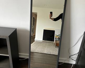 $450 Room and Board Soho Wall Mirror. 22” x 56” Still available online for $599 plus tax and shipping! available for online presale.
