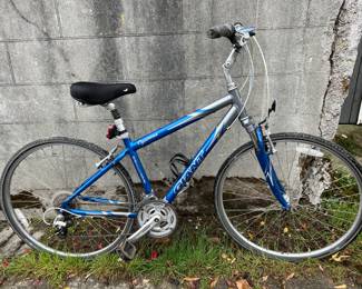 17” Giant Cypress $160 available for in person purchase Friday and Saturday