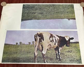Lot # : 207z - Vintage Pink Floyd Atom Heart Mother poster
