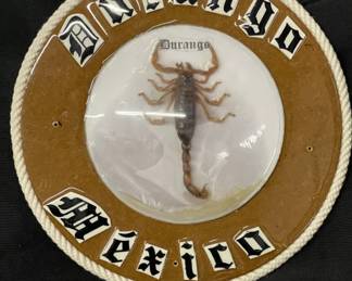 Lot # : 247v - Vintage scorpion wall art
