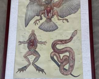 Lot # : 264z - Vintage Chinese framed bird, frog & snake
