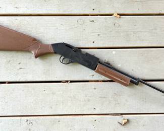 760 Pumpmaster pellet gun