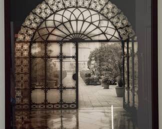 Framed Photograph of Paris Garden.