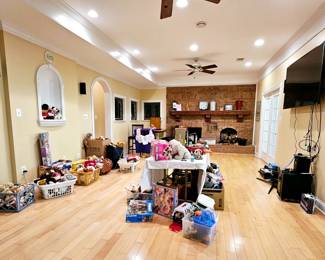 Toys, games, puzzles, and loads of stuffed animals