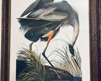 All of the art is spectacular.