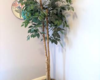 Silk trees