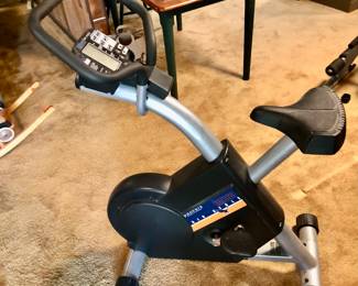 Phoenix Stationary Bike