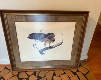 #131	Print of Red-Tail Hawk by Guy Coheleach	 $75.00 
