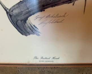 #131	Print of Red-Tail Hawk by Guy Coheleach	 $75.00 
