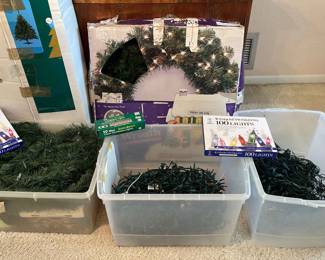 Christmas Tree And Light Lots