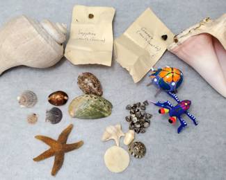 MB120 Stones, Sea Shells, Sapphire, Garnet