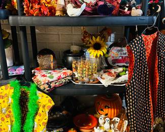 Fall/Halloween Items 