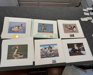 Large selection of duck stamp prints