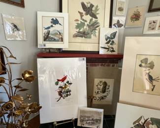 Audubon prints