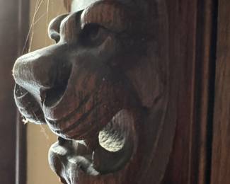 close up otf the lions face