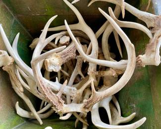 Antlers