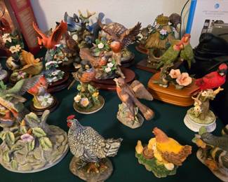 More Bird Collection
