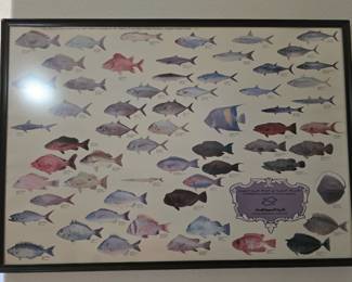 Fish of Saudi Arabia Picture