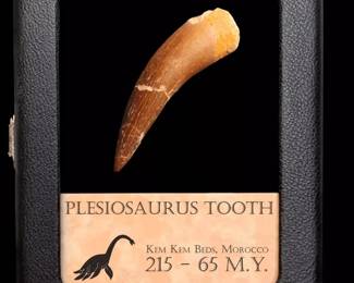 Ancient Tooth with authentication