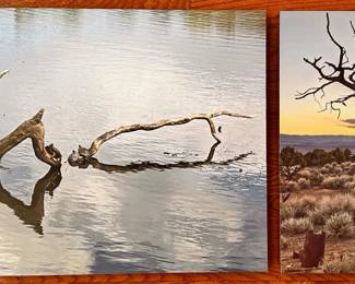 2 Photographs On Board Taken In Prospect Park, Brooklyn & In Utah
Lot #: 83