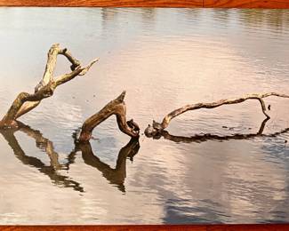 2 Photographs On Board Taken In Prospect Park, Brooklyn & In Utah
Lot #: 83