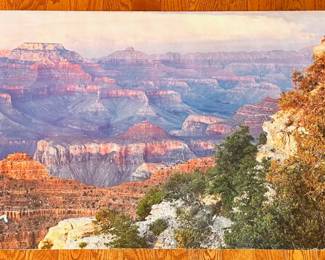 The Grand Canyon Panoramic Photograph Poster
Lot #: 141