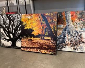 Signed prints on canvas by photographer Scott Newton (known for his ACL works)