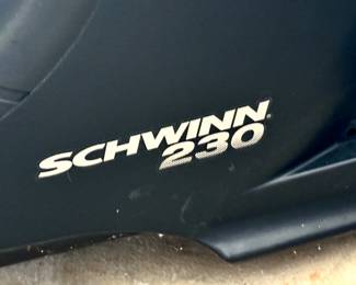 Schwinn 230 Recumbent bike