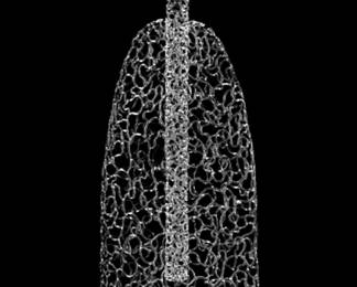 Brent Kee Young glass sculpture Matrix Series: "Vaulted Variation", 2009, 45" tall 19" wide x 8" deep. Flame-worked borosilicate glass. Purchased from Riley Hawk Gallery in 2009, $12,000. Brent is a Cleveland Institute of Art Professor Emeritus & an Internationally recognized, Cleveland artist whose works are in The Cleveland Museum of Art and 100s of other famous museums and collections.