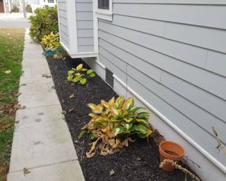 Plants; James Hardie fiber cement siding