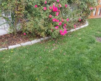 Limited amount of Belgian blocks