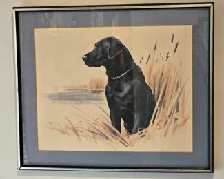 Black Labrador Print