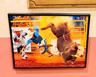  Framed Bull Fight Picture