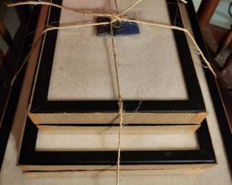 Insect collection cases w/ pins