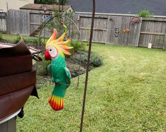 Sweet Hanging Parrot