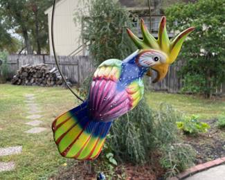 Another adorable Parrot with lots of personality.