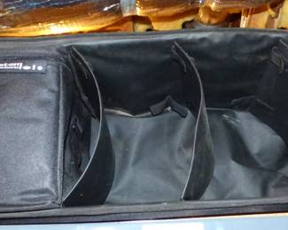 Car Organizer with Cooler