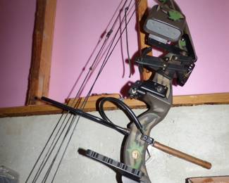 Hoyt Compound Bow