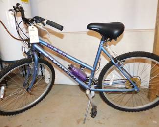 Schwinn Bicycle