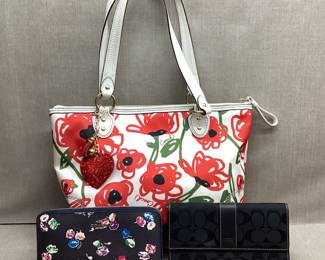 Coach Poppy Red Rose & 2 Wallets