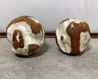 Teak Root Balls