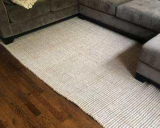 Pottery Barn 8x10 rug