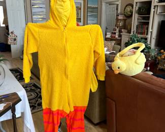 Big Bird costume