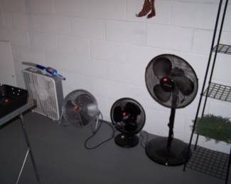 FANS