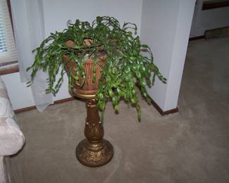 CHRISTMAS CACTUS ON PLANT PEDESTAL
