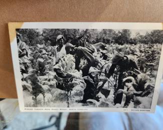 Vintage Postcards from the South. 